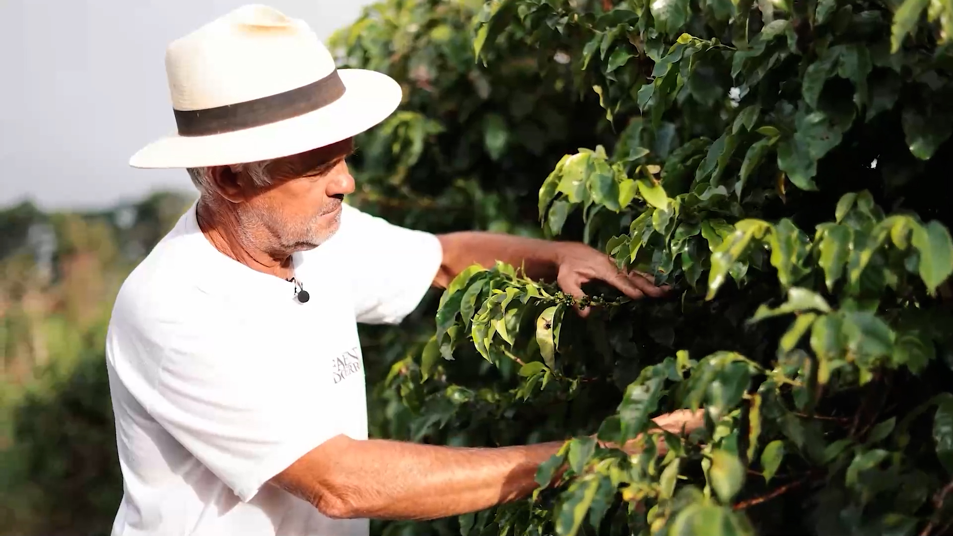 Documento de Marketing E2Coffee.mp4.00_01_37_14.Still015